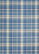 Close-up of the Nourison Grafix Blue Rustic Indoor Area Rug featuring a blue, white, and gold plaid pattern.