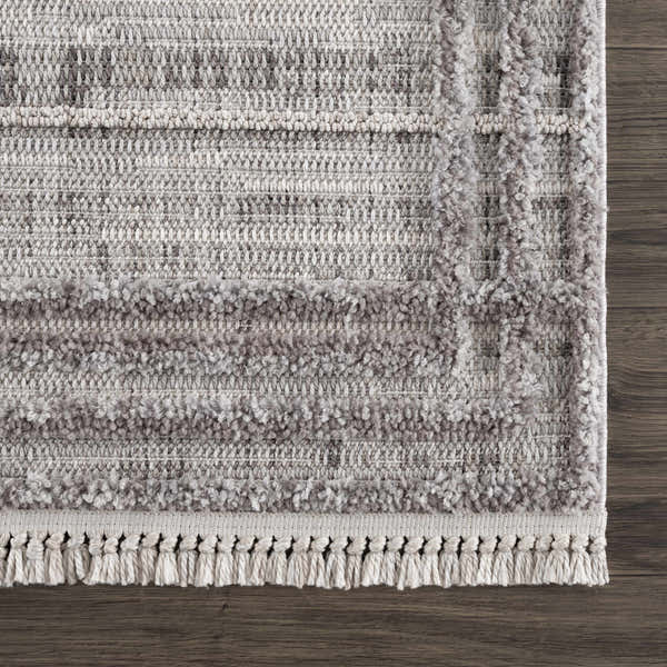Sample Barurao Area Rug - Clearance