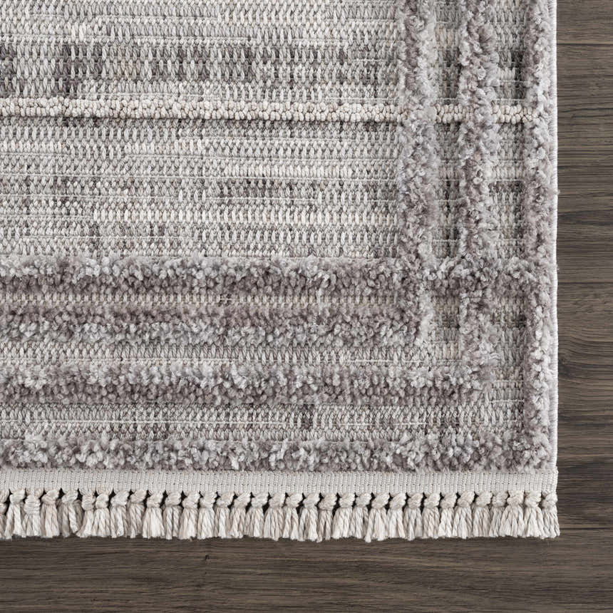 Sample Barurao Area Rug - Clearance