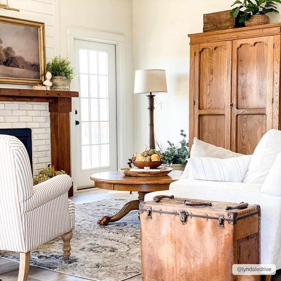 Georgiana Area Rug – Boutique Rugs