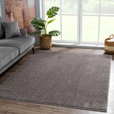 Judy Solid Dark Gray Washable Shag Rug