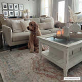 Living room scene with a bone Emke Flat Pile Washable Rug, beige sofa, white coffee table, and a cute golden doodle dog. Roomscene-Rectangle