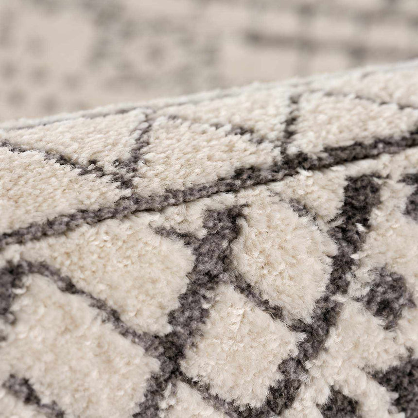 Merriott Area Rug - Promo