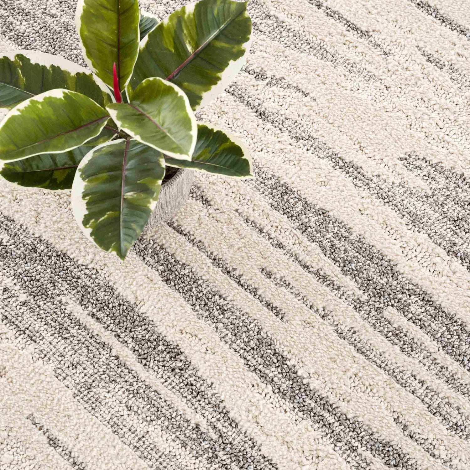 Close-up of Lave Bone & Taupe Area Rug showing texture and striped pattern. Neutral tones. Plant in corner. Styleshot
