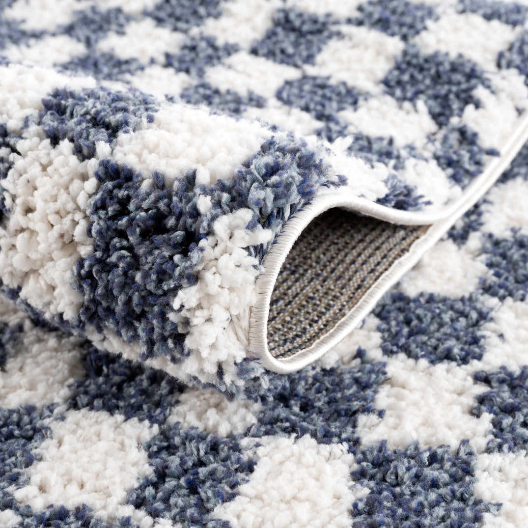 Kieu Blue & White Checkered Area Rug – Boutique Rugs