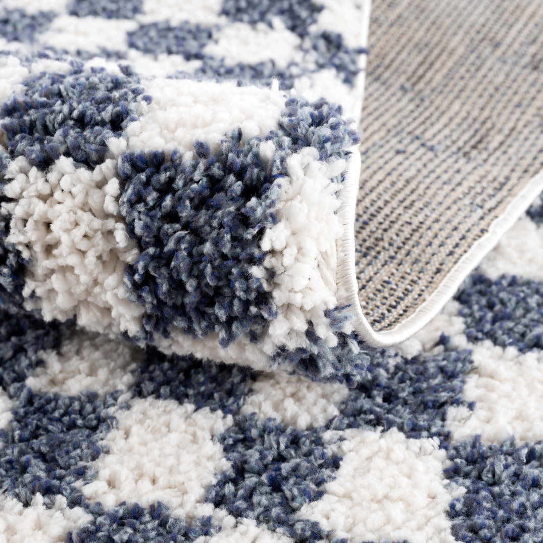 Kieu Blue & White Checkered Area Rug – Boutique Rugs