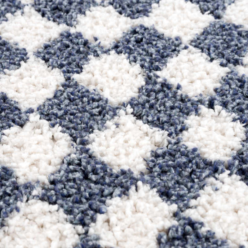 Kieu Blue & White Checkered Area Rug – Boutique Rugs
