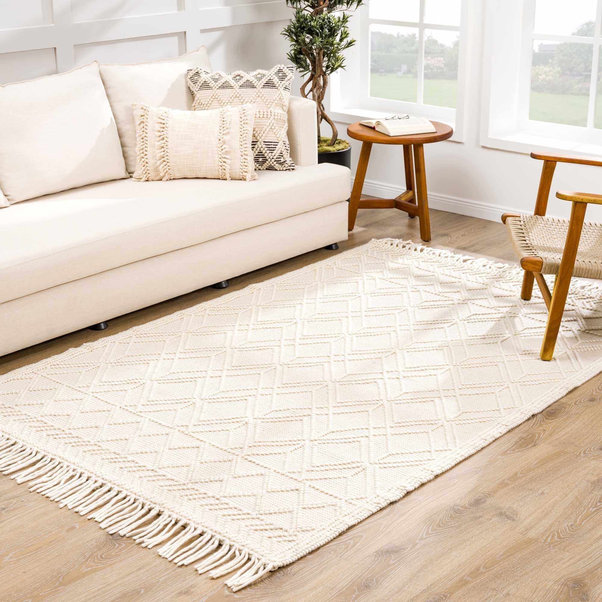 IOHOUZE Washable Area Rug 4x6, Non Slip Farmhouse Bedroom Rugs Entryway  Rugs, Low Pile Light Grey Cotton Woven Indoor Outdoor Modern Boho Carpet  for