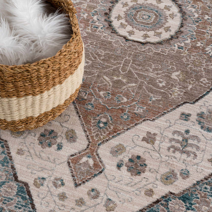 Close-up of the Baychester Area Rug showing its traditional oriental design, cream, brown, and teal colors, and soft texture. Styleshot