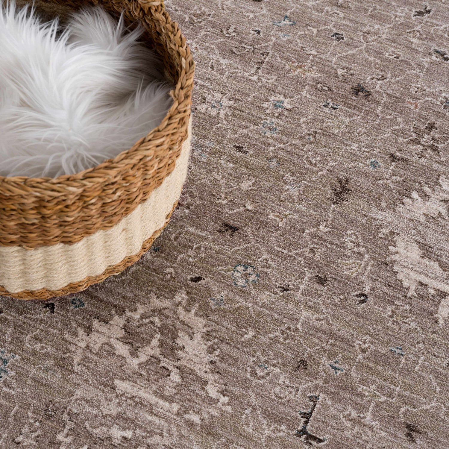 Bolitoc Area Rug - Clearance