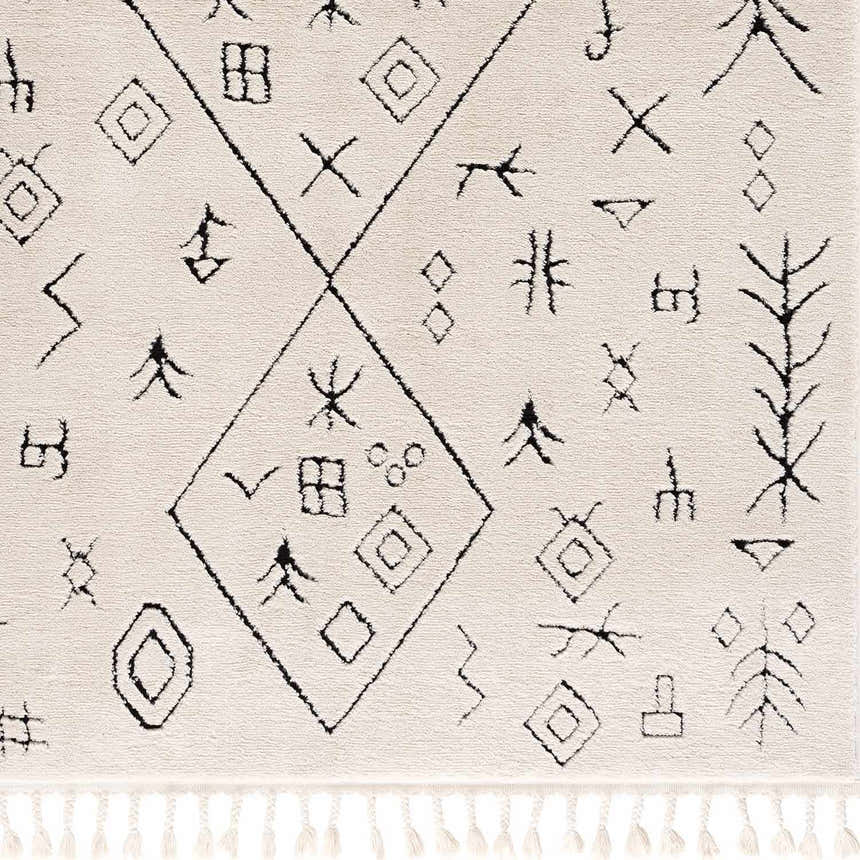 Close-up of the Thian Tribal Area Rug. Beige rug with black geometric and tribal-inspired patterns and fringe. Swatch