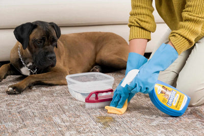 Pet Stain&Odor Remover