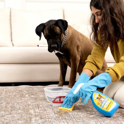 Pet Stain&Odor Remover