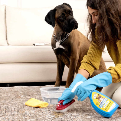 Pet Stain&Odor Remover