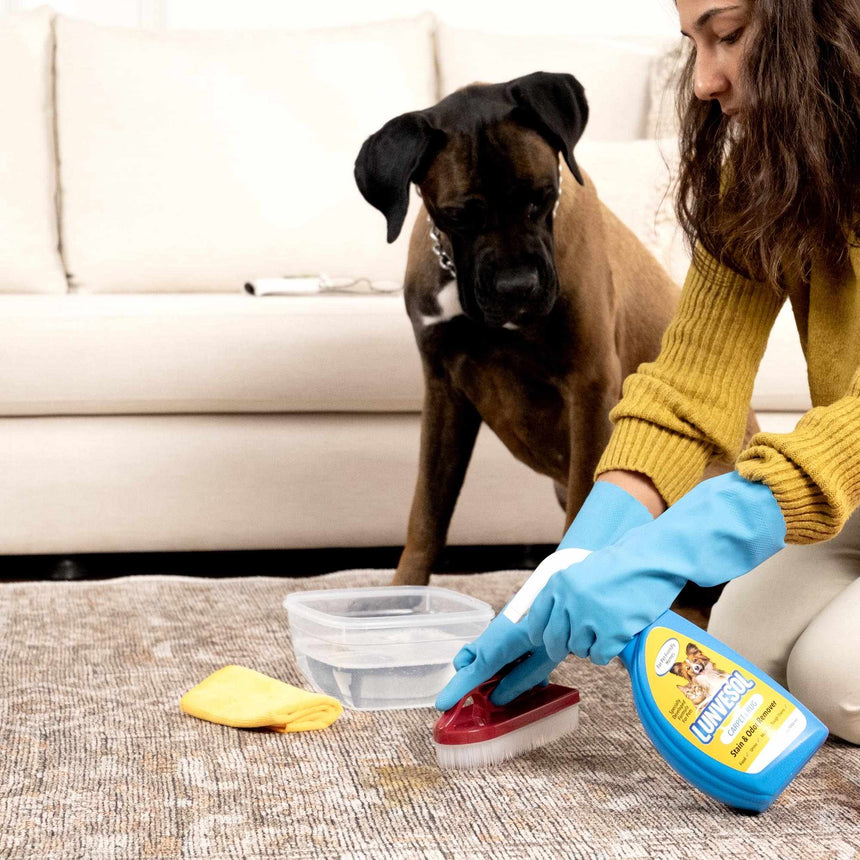 Pet Stain&Odor Remover