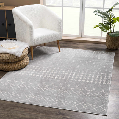 Tigrican Gray 2330 Area Rug - Clearance