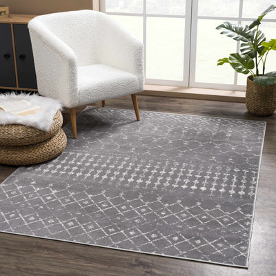 Tigrican Charcoal 2329 Area Rug - Clearance