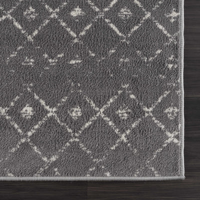 Tigrican Charcoal 2329 Area Rug - Clearance