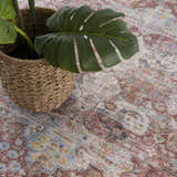Close-up of Rust Elki Vintage Medallion Washable Area Rug with a traditional Persian design and a potted Monstera plant. Styleshot