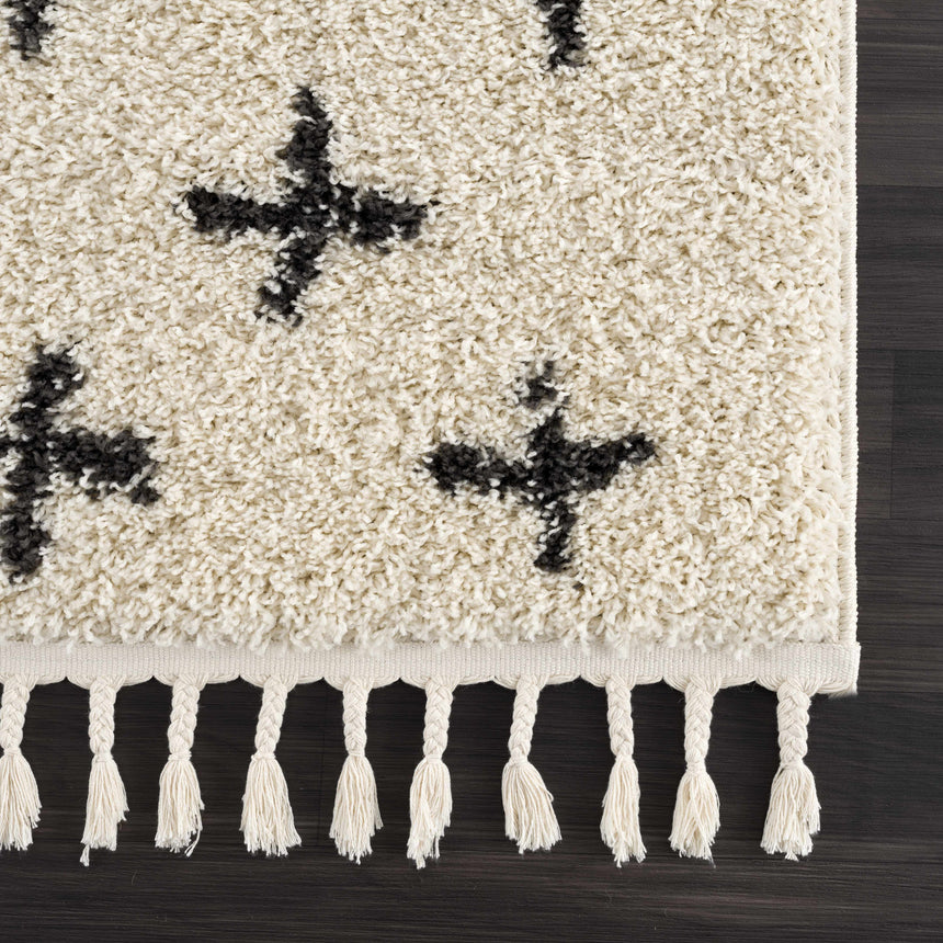 Alstead Shag Area Rug