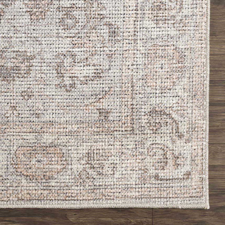 Close-up of the Niran Area Rug. Traditional vintage style with a neutral color palette and subtle pattern detail. Swatch