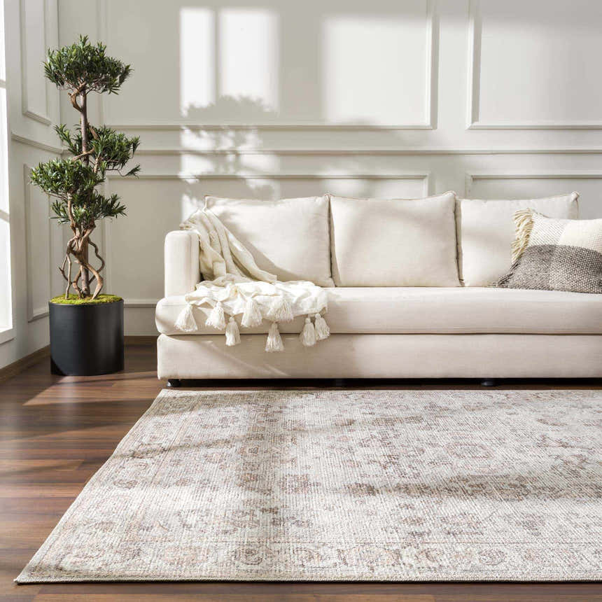 Living room scene with a beige sofa and a traditional vintage Niran Area Rug. Roomscene-Rectangle