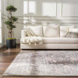 Living room scene with a neutral sofa and the vintage-style Nyota Area Rug in gray, ivory, and brown tones. Roomscene-Rectangle