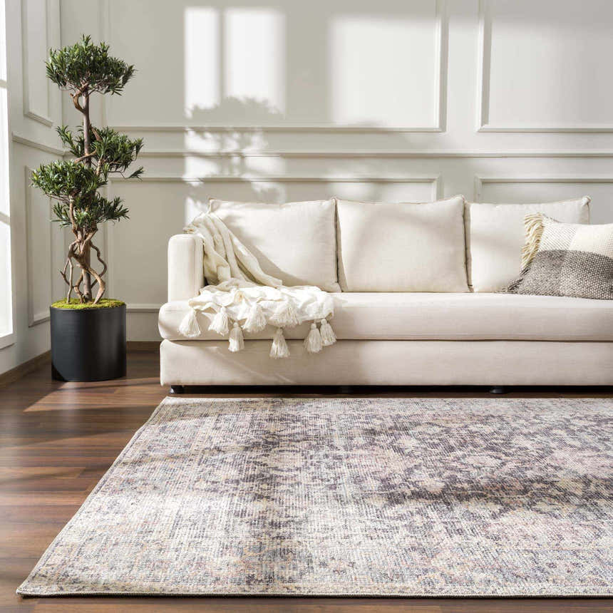 Living room scene with a neutral sofa and the vintage-style Nyota Area Rug in gray, ivory, and brown tones. Roomscene-Rectangle