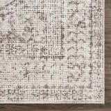 Close-up of the Mortye Cream & Brown Medallion Area Rug showing its woven texture and traditional vintage pattern. Swatch