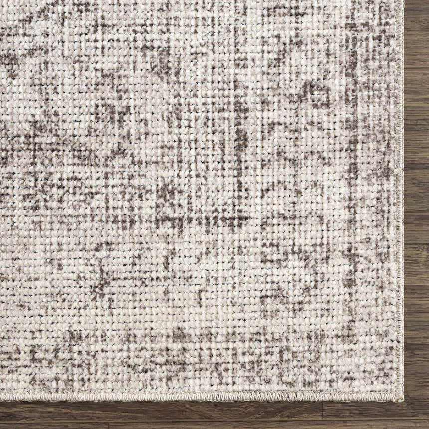 Close-up of the Mortye Cream & Brown Medallion Area Rug showing its woven texture and traditional vintage pattern. Swatch