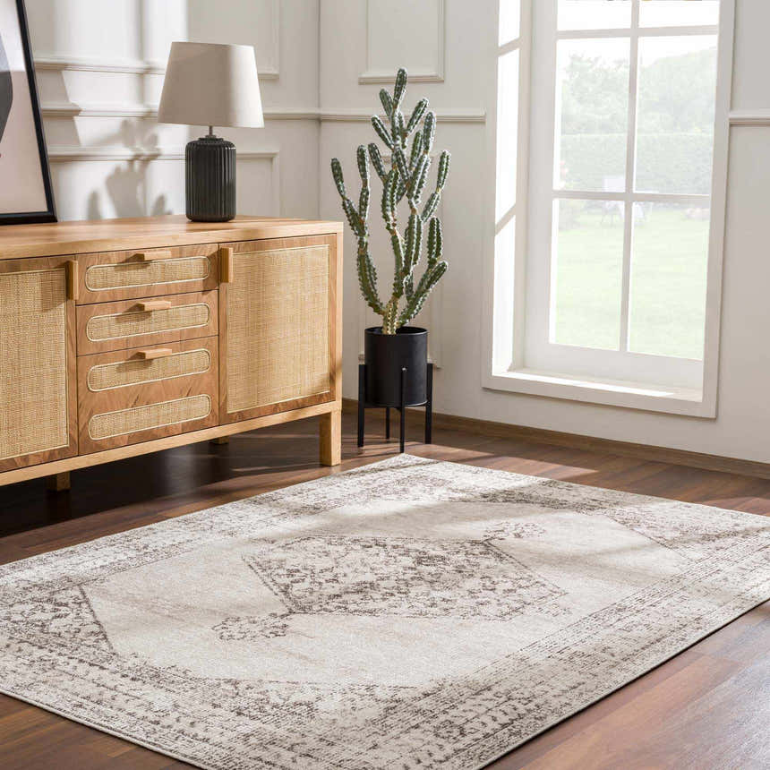 Living room scene with a Mortye Cream & Brown Medallion Area Rug, wood cabinet, lamp, cactus, and natural light. Roomscene-Rectangle