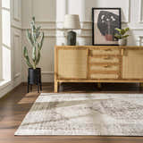 Living room scene with a Mortye Cream & Brown Medallion Area Rug, wood floors, and a cane cabinet. Roomscene-Rectangle