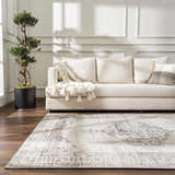 Living room scene with a Mortye Cream & Brown Medallion Area Rug, cream sofa, throw blanket, and potted tree. Roomscene-Rectangle