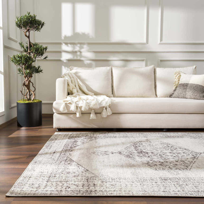 Living room scene with a Mortye Cream & Brown Medallion Area Rug, cream sofa, throw blanket, and potted tree. Roomscene-Rectangle