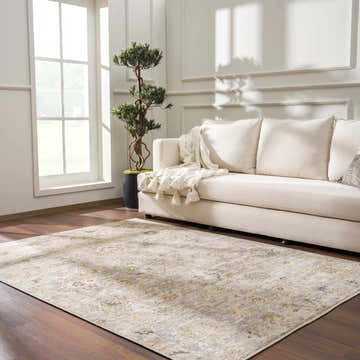 Living room scene with neutral sofa and the traditional vintage Ogima Area Rug. Roomscene-Rectangle