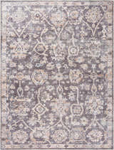 Detailed close-up of the Okoth Area Rug. Features a traditional, distressed pattern in shades of brown, beige, and blue. Design-Rectangle-537
