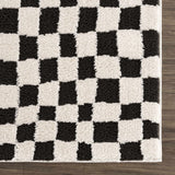 Lajos Black & White Checkered Plush Rug