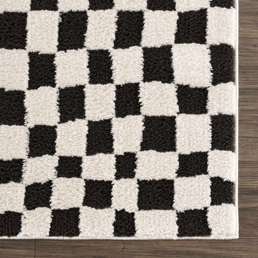 Lajos Black & White Checkered Plush Rug