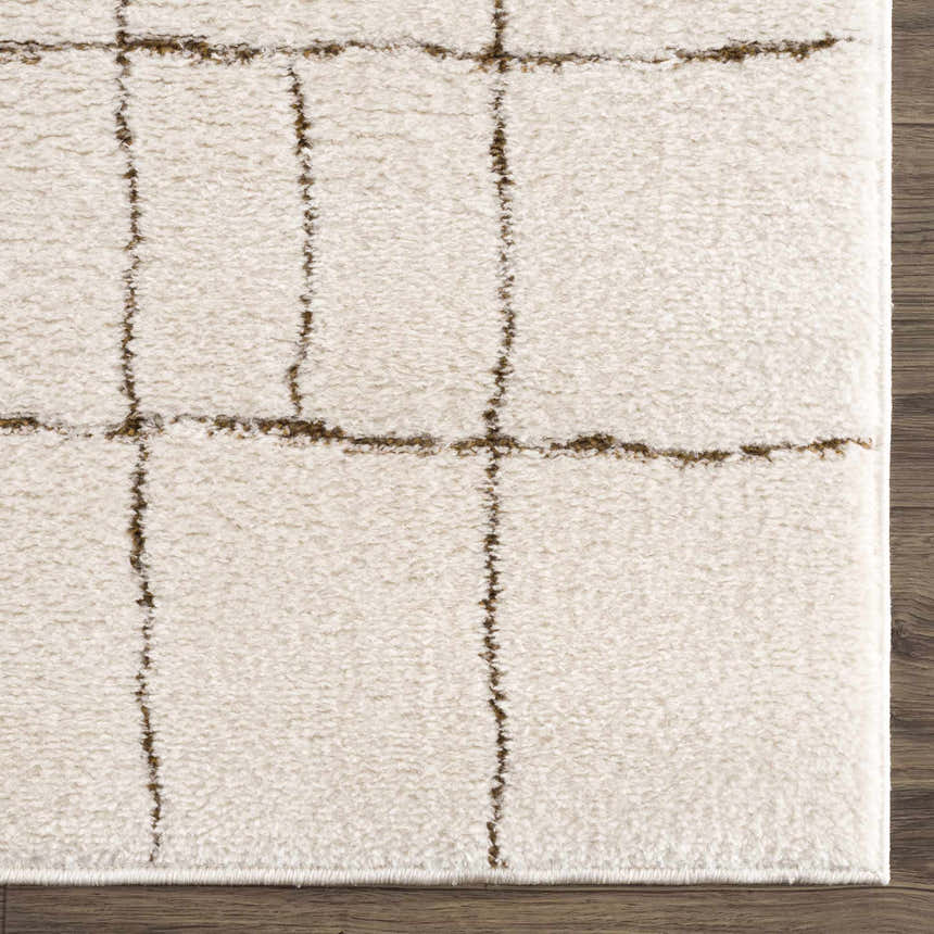Close-up of the plush Keanu Area Rug. Beige rug with a brown geometric grid pattern and soft, textured pile. Swatch
