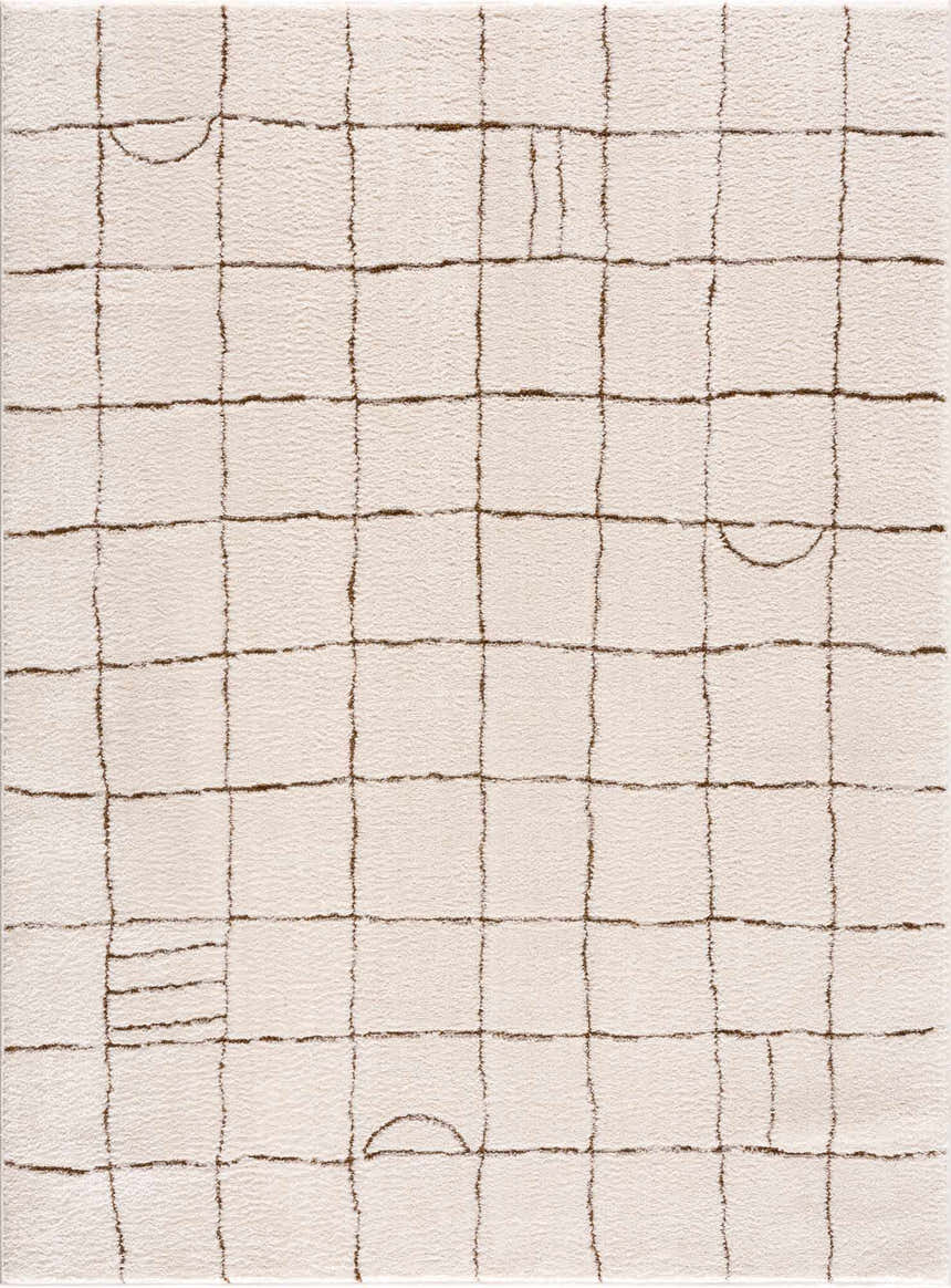 Close-up of the Keanu Area Rug. Beige rug with a brown geometric grid pattern and soft, textured pile. Design-Rectangle-537