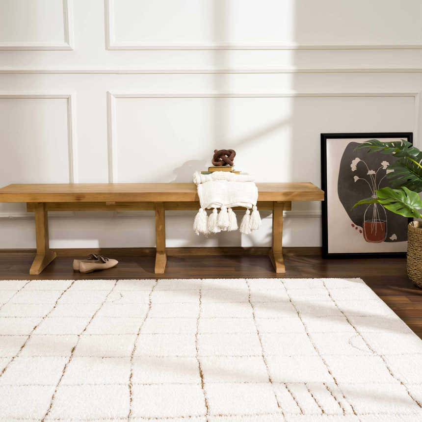 Entryway with a beige Keanu Area Rug, wooden bench, modern art, and a plant. Roomscene-Rectangle