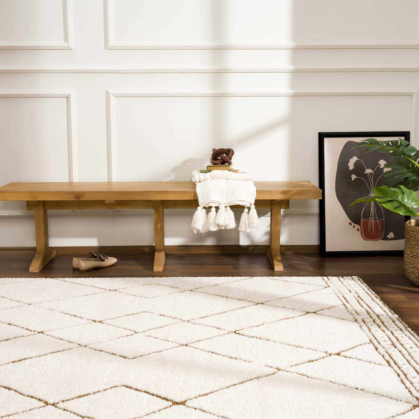 Hallway scene with a beige Keone Area Rug, wood bench, and modern art. Roomscene-Rectangle