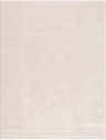 Close-up of the Keone Ivory Area Rug. Beige polyester rug with diamond pattern and textured border. Design-Rectangle-537