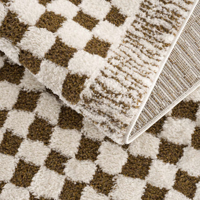 Leryn Brown&White Checkered Rug