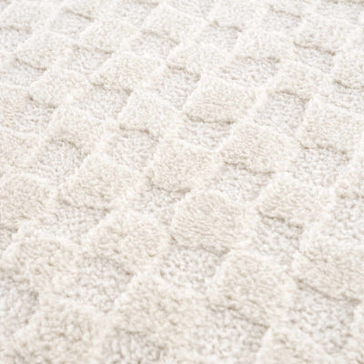 Leryn Ivory Checkered Area Rug