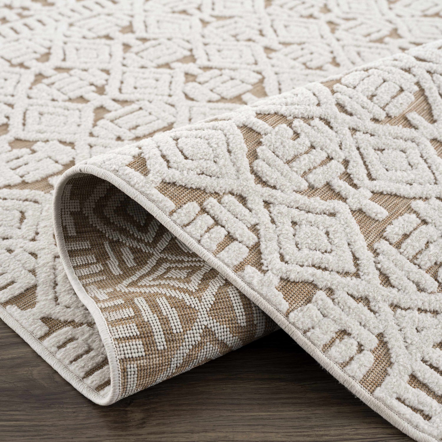 Retrieve 3D Outdoor Area Rug - Clearance