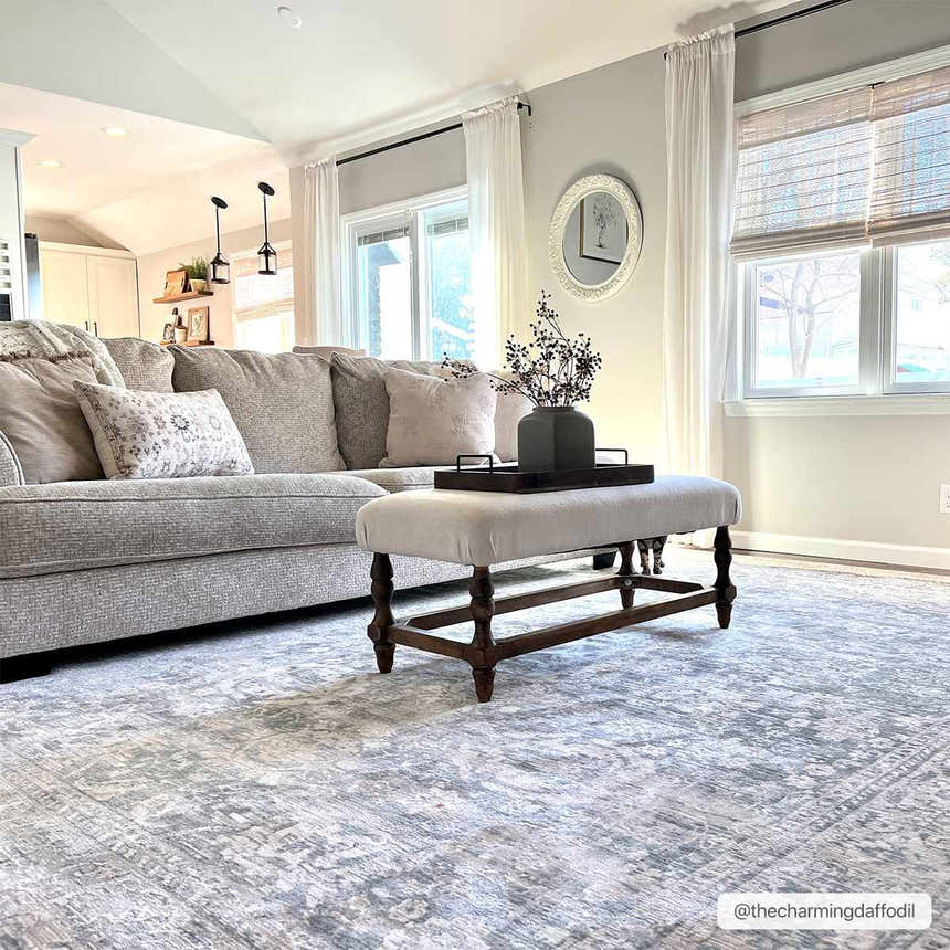 Living room scene with gray sofa and Guiwanon Area Rug in cream and gray tones, creating a farmhouse style. Roomscene-Rectangle
