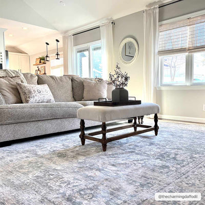 Guiwanon Distressed Area Rug - Clearance