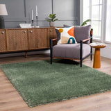 Faina Solid Green Shag Washable Area Rug - Clearance