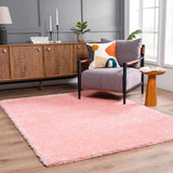 Faina Solid Pink Shag Washable Area Rug - Clearance